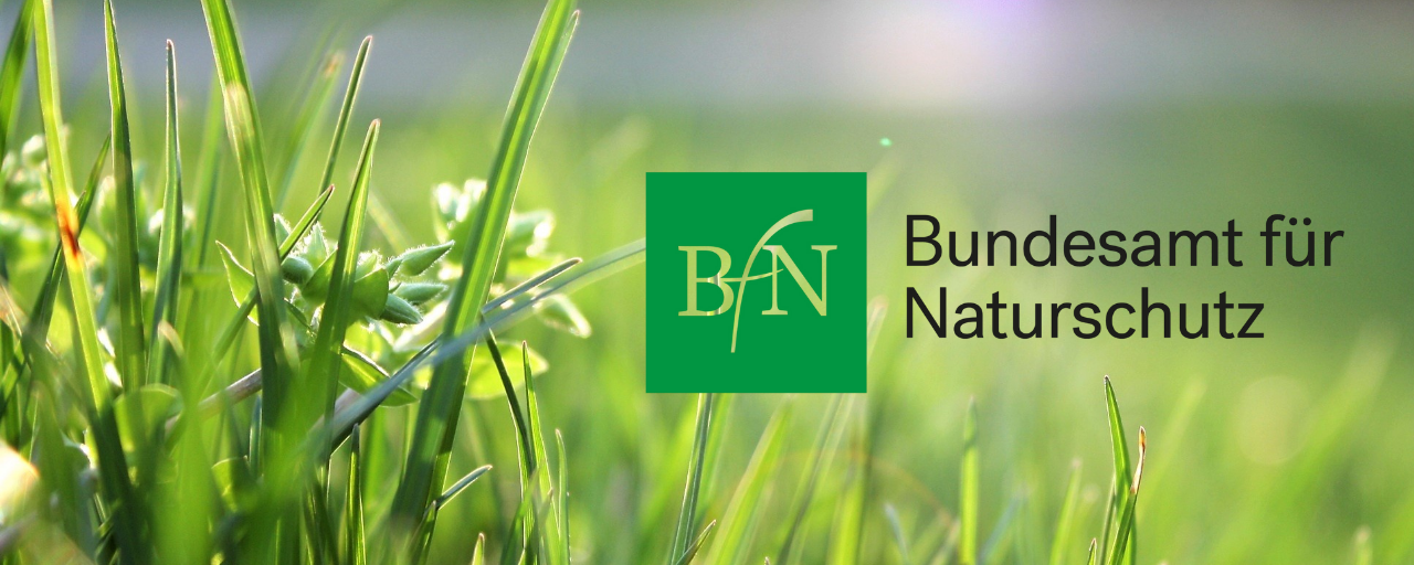 Hier finden Sie die Publikationen des Bundesamtes für Naturschutz